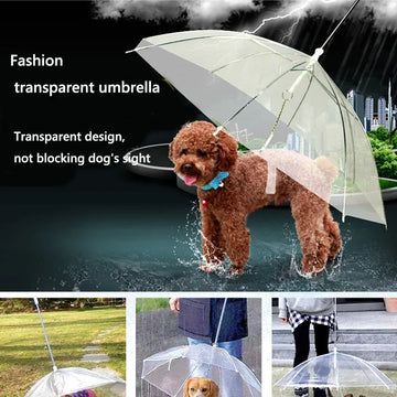 Pet Umbrellas:Don't let rainy days dampen your pet's spirits—our Pet Umbrellas are here to save the day! Designed with fun and functionality in mind, these umbrellas are a must-have
