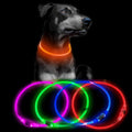 Light up Dog Collars - Waterproof LED Dog Collar, Glow in the Dark Puppy Collar, TPU Cuttable Lighted Dog Collar for Small Medium Large Dogs (Red)