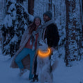 Light up Dog Collars - Waterproof LED Dog Collar, Glow in the Dark Puppy Collar, TPU Cuttable Lighted Dog Collar for Small Medium Large Dogs (Red)